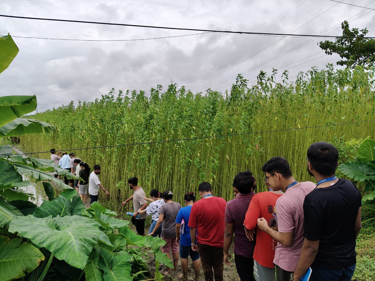 Agriculture Facility